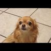 peaches0712